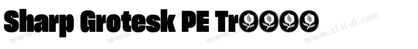 Sharp Grotesk PE Tr字体转换